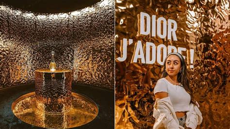 exposition dior j adore|j'adore dior price.